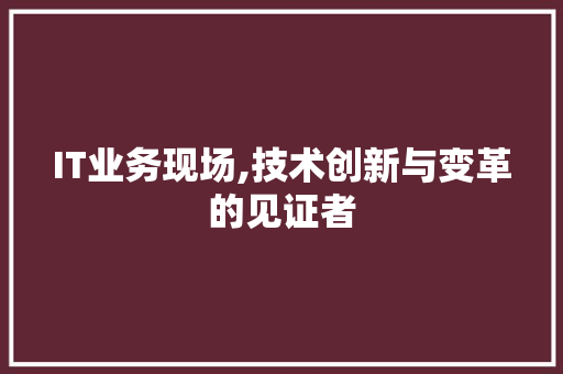 IT业务现场,技术创新与变革的见证者