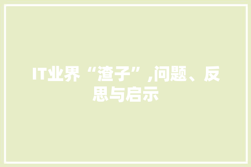 IT业界“渣子”,问题、反思与启示