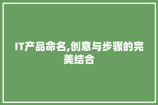 IT产品命名,创意与步骤的完美结合