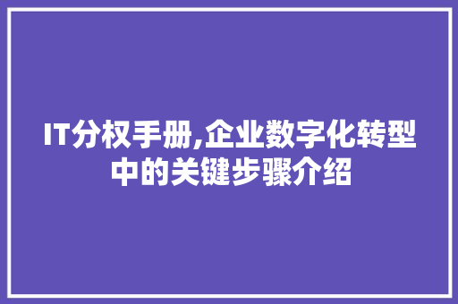 IT分权手册,企业数字化转型中的关键步骤介绍 必应SEO