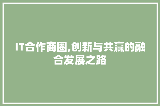 IT合作商圈,创新与共赢的融合发展之路 神马SEO