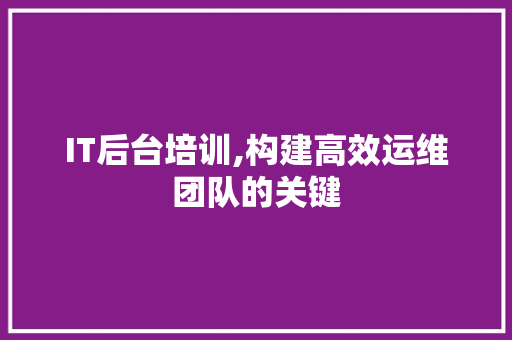 IT后台培训,构建高效运维团队的关键 神马SEO