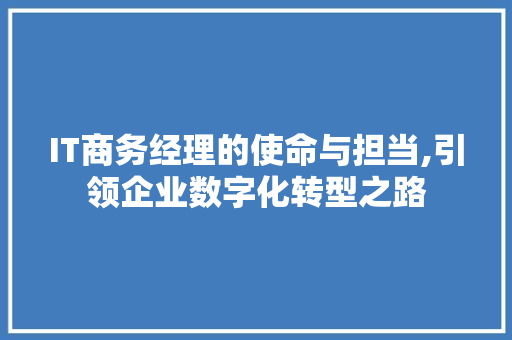 IT商务经理的使命与担当,引领企业数字化转型之路 搜狗SEO