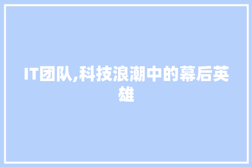 IT团队,科技浪潮中的幕后英雄 搜狗SEO