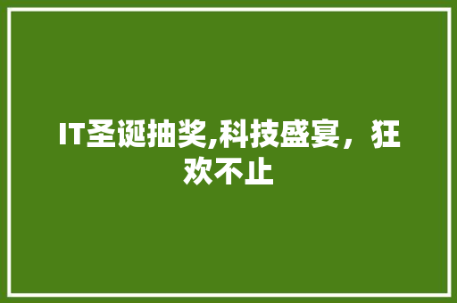 IT圣诞抽奖,科技盛宴，狂欢不止