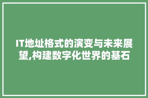 IT地址格式的演变与未来展望,构建数字化世界的基石 GoogleSEO