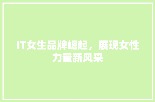 IT女生品牌崛起，展现女性力量新风采