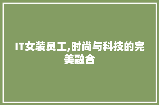 IT女装员工,时尚与科技的完美融合
