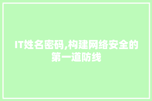 IT姓名密码,构建网络安全的第一道防线 GoogleSEO