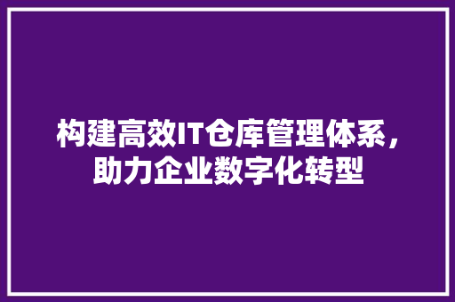 构建高效IT仓库管理体系，助力企业数字化转型