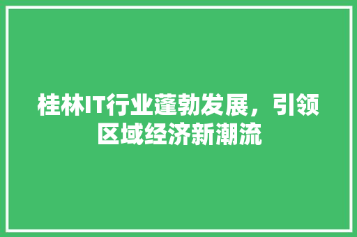 桂林IT行业蓬勃发展，引领区域经济新潮流