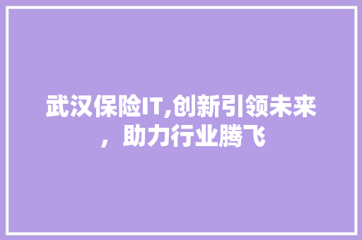 武汉保险IT,创新引领未来，助力行业腾飞 GoogleSEO