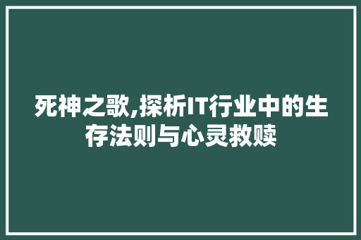 死神之歌,探析IT行业中的生存法则与心灵救赎