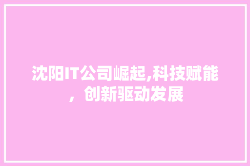 沈阳IT公司崛起,科技赋能，创新驱动发展