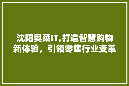 沈阳奥莱IT,打造智慧购物新体验，引领零售行业变革