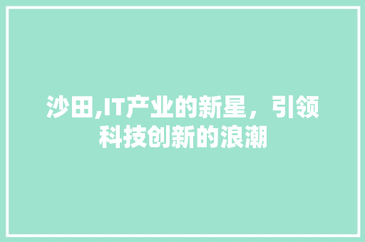 沙田,IT产业的新星，引领科技创新的浪潮