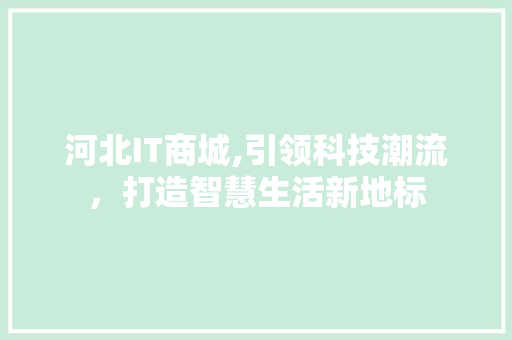 河北IT商城,引领科技潮流，打造智慧生活新地标