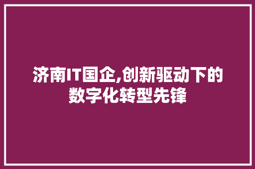济南IT国企,创新驱动下的数字化转型先锋 必应SEO