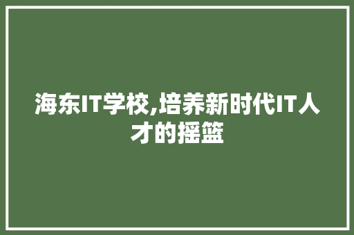 海东IT学校,培养新时代IT人才的摇篮 GoogleSEO