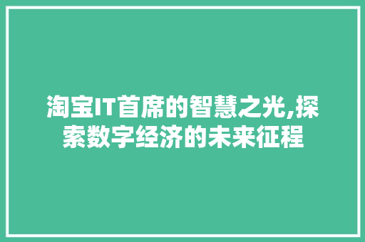 淘宝IT首席的智慧之光,探索数字经济的未来征程 必应SEO