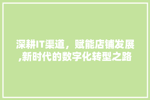 深耕IT渠道，赋能店铺发展,新时代的数字化转型之路 搜狗SEO
