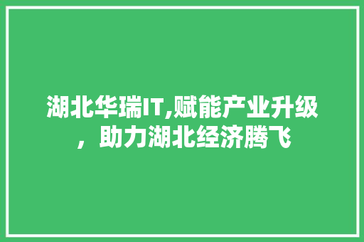 湖北华瑞IT,赋能产业升级，助力湖北经济腾飞
