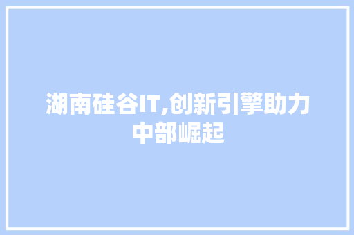 湖南硅谷IT,创新引擎助力中部崛起