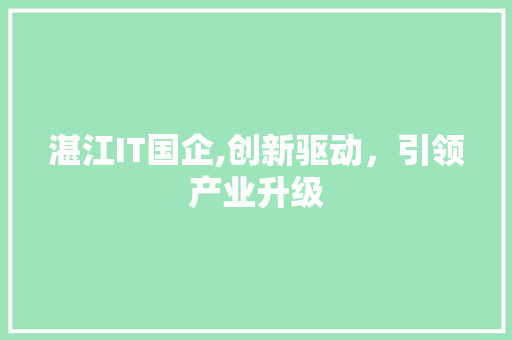 湛江IT国企,创新驱动，引领产业升级