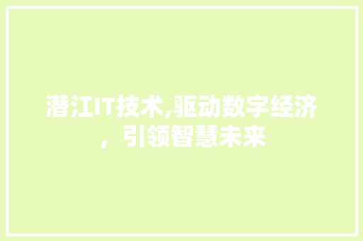 潜江IT技术,驱动数字经济，引领智慧未来