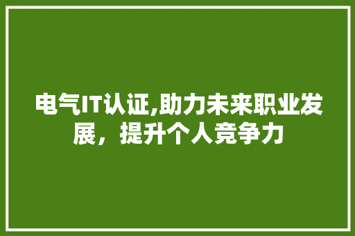 电气IT认证,助力未来职业发展，提升个人竞争力 搜狗SEO