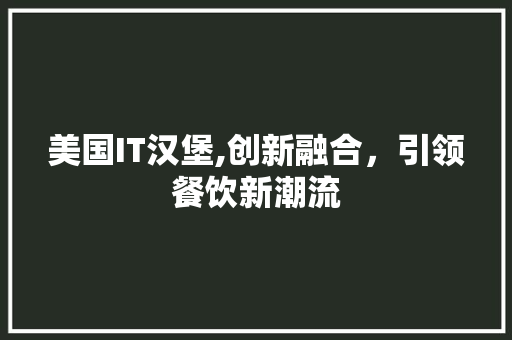 美国IT汉堡,创新融合，引领餐饮新潮流