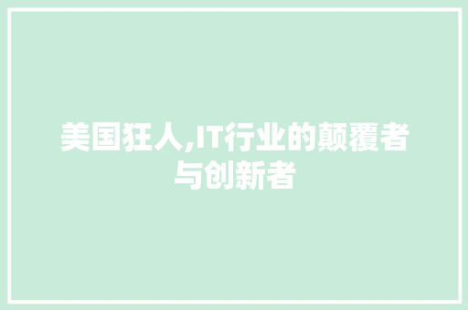美国狂人,IT行业的颠覆者与创新者