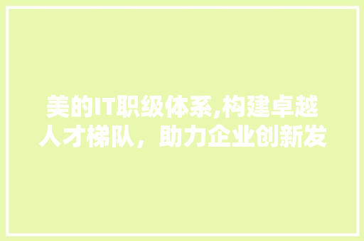 美的IT职级体系,构建卓越人才梯队，助力企业创新发展 必应SEO