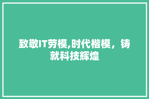 致敬IT劳模,时代楷模，铸就科技辉煌 必应SEO