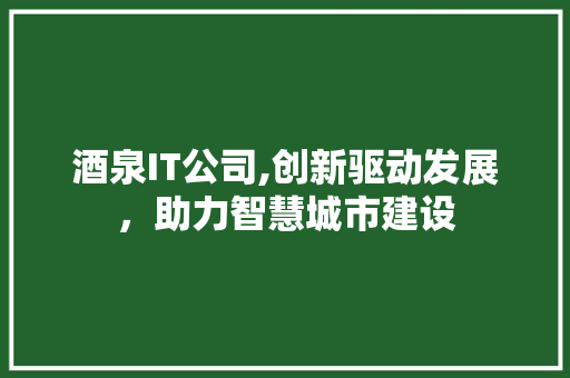 酒泉IT公司,创新驱动发展，助力智慧城市建设 搜狗SEO