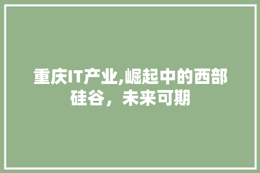 重庆IT产业,崛起中的西部硅谷，未来可期 必应SEO
