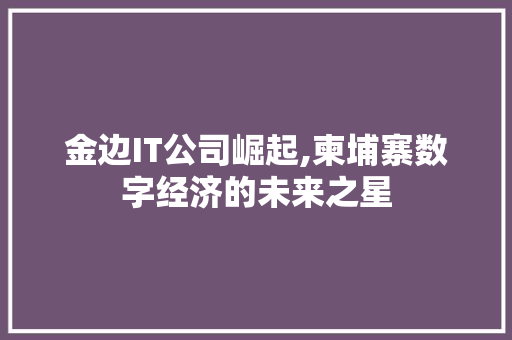 金边IT公司崛起,柬埔寨数字经济的未来之星 百度SEO