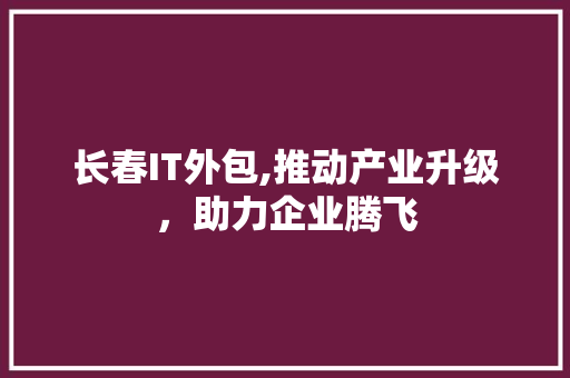 长春IT外包,推动产业升级，助力企业腾飞