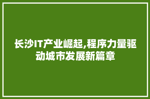 长沙IT产业崛起,程序力量驱动城市发展新篇章
