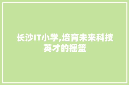 长沙IT小学,培育未来科技英才的摇篮