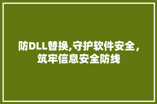 防DLL替换,守护软件安全，筑牢信息安全防线