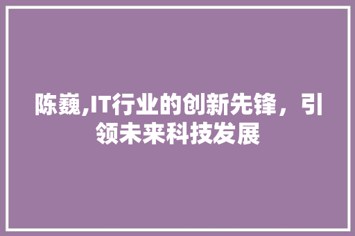 陈巍,IT行业的创新先锋，引领未来科技发展 搜狗SEO