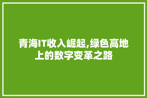 青海IT收入崛起,绿色高地上的数字变革之路