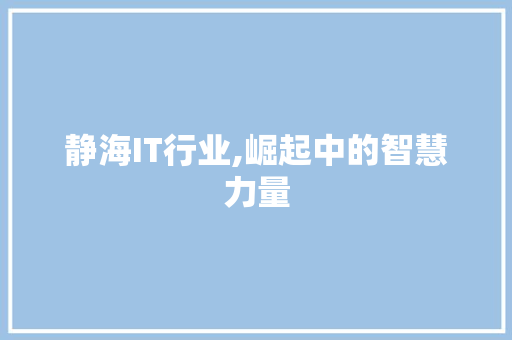 静海IT行业,崛起中的智慧力量