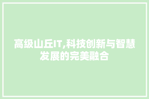 高级山丘IT,科技创新与智慧发展的完美融合