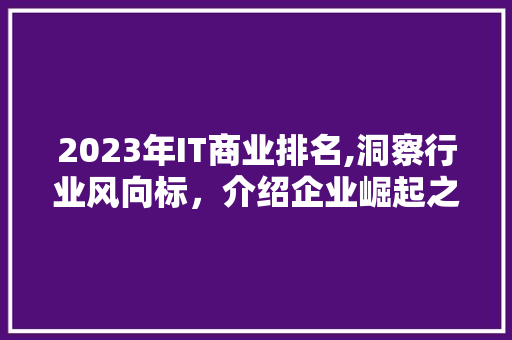 2023年IT商业排名,洞察行业风向标，介绍企业崛起之路 百度SEO