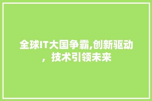 全球IT大国争霸,创新驱动，技术引领未来 神马SEO