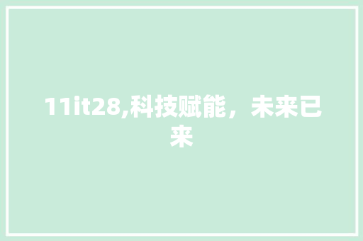 11it28,科技赋能，未来已来 GoogleSEO