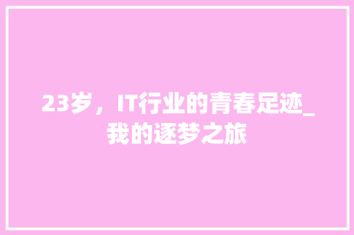 23岁，IT行业的青春足迹_我的逐梦之旅