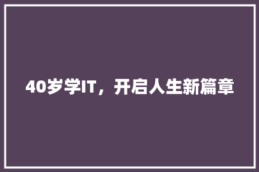 40岁学IT，开启人生新篇章 必应SEO